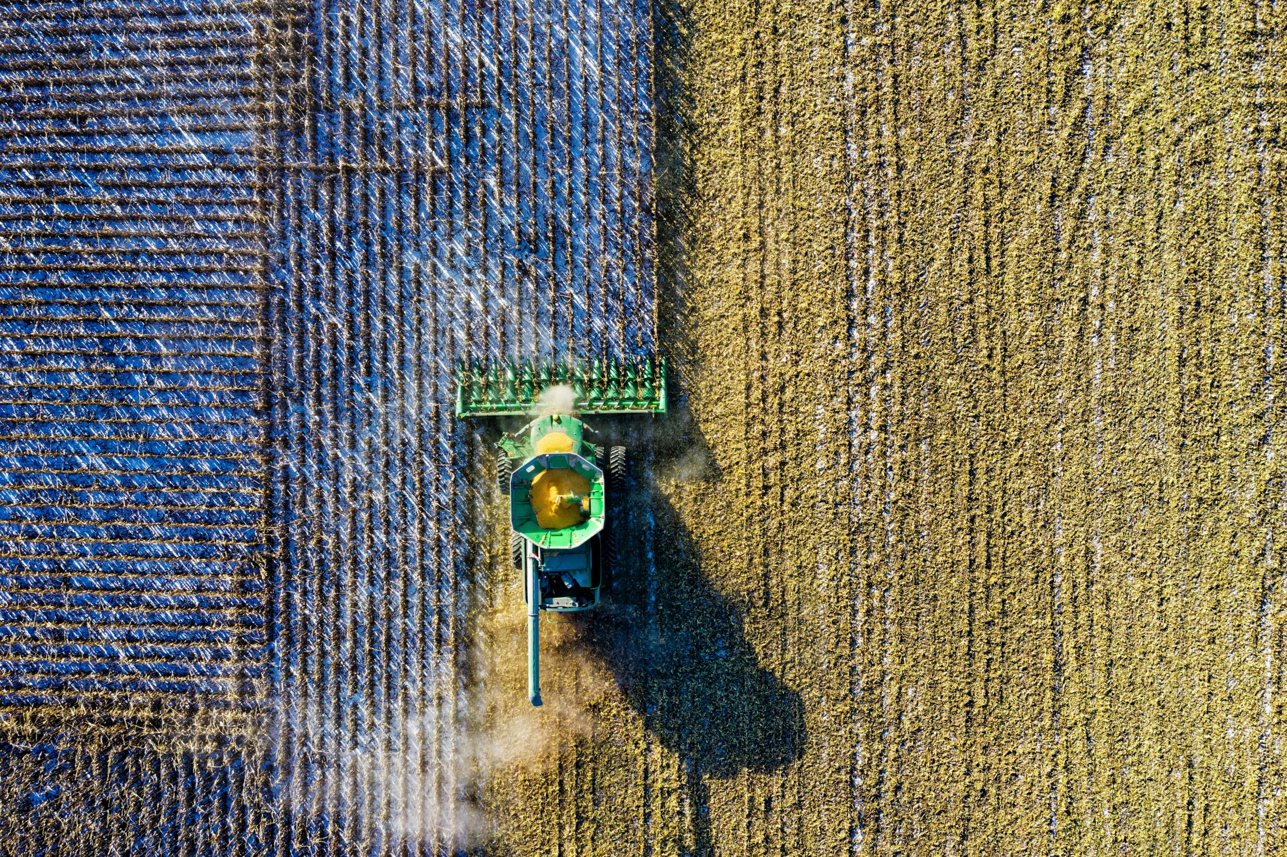 Como investir no agronegócio com pouco dinheiro?